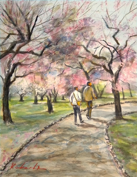 ���忢ʪ���ࡨ�߱�